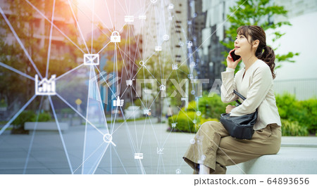 The network The network 64893656