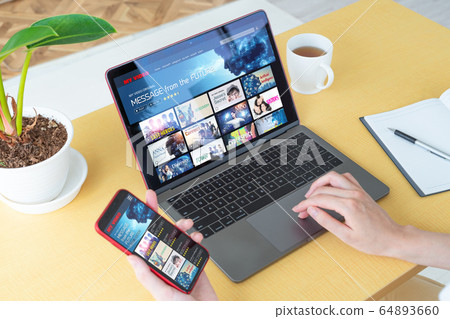 Video distribution service Video distribution service 64893660