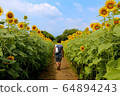In the sunflower field 64894243