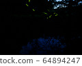 fire Fly 64894247