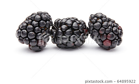 Blackberry Isolated on White Background 64895922