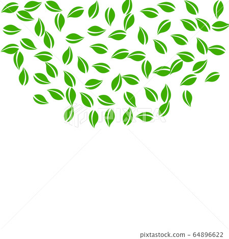 Falling green leaves. Fresh tea random leaves flyi 64896622