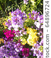 Small flower cluster 64896724