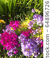 Blooming flowers 64896726