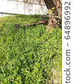 Wooden bench and wooden chair in the meadow 64896992