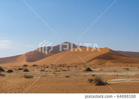 Namib, Namibia, Africa Namib, Namibia, Africa 64898180