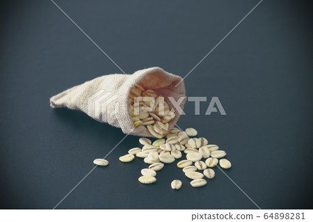 Food crisis, money and humans 64898281