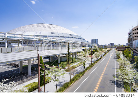 Vantelin Dome Nagoya Dome and Dogwood Vantelin Dome Nagoya Dome and Dogwood 64898314