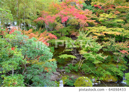 Niigata City Former Saito Residence / Japanese Garden 64898433