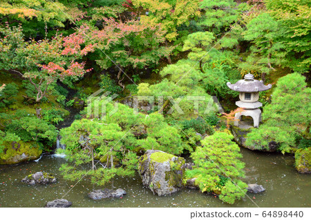 新潟市齋藤故居/日本庭園 64898440