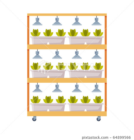 Hydroponics and Aeroponics Gardening System, Eco Friendly Organic Farming Technology with Plants Growing in Pots Flat Vector Illustratio 64899566