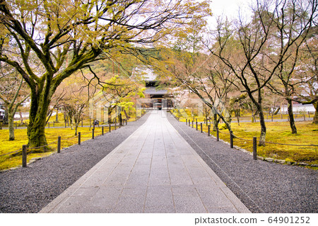 前往京都神殿的正殿 64901252