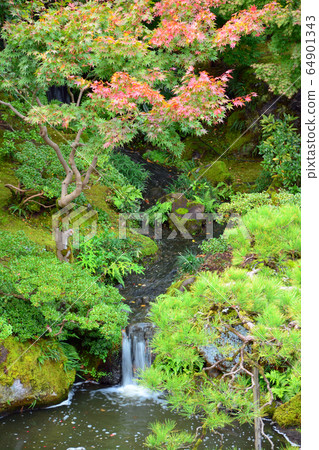 Niigata City Former Saito Residence / Japanese Garden 64901343