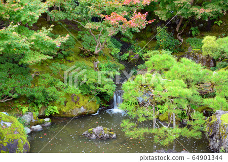 Niigata City Former Saito Residence / Japanese Garden 64901344
