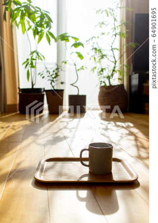 Morning sun and morning coffee entering the living room with ornamental plants Morning sun and morning coffee entering the living room with ornamental plants 64901695