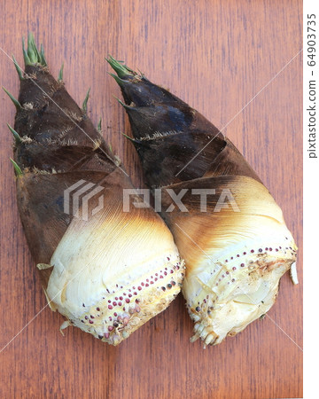 Bamboo shoot of season Bamboo shoot of season 64903735