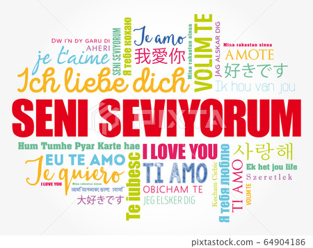 Seni seviyorum (I Love You in Turkish) Seni seviyorum (I Love You in Turkish) 64904186