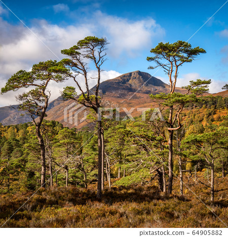 Sgurr na Lapaich in Glen Affric, Scotland Sgurr na Lapaich in Glen Affric, Scotland 64905882