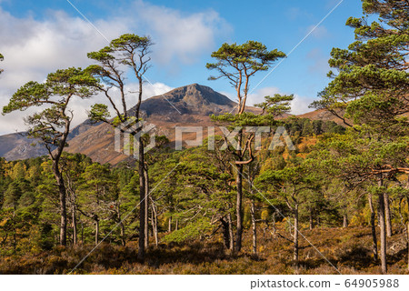 Sgurr na Lapaich in Glen Affric Sgurr na Lapaich in Glen Affric 64905988
