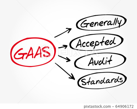 GAAS - Generally Accepted Audit Standards 64906172