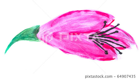 Drawing a flower with gouache. 64907435
