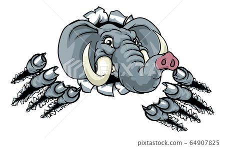 Elephant Sports Animal Mascot 64907825