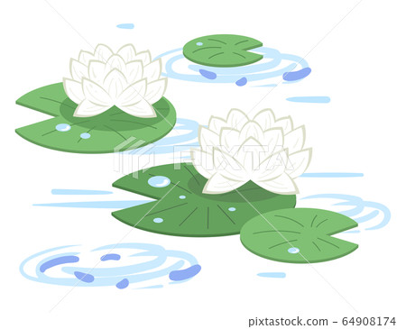 Illustration of lotus flower blooming on the water surface (white) 64908174