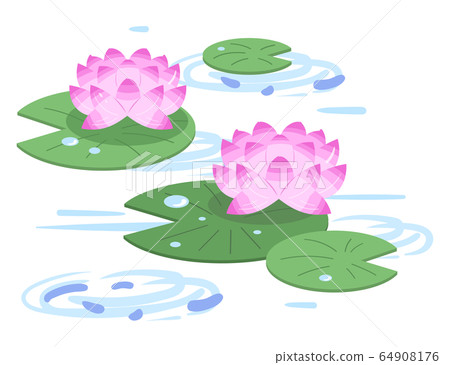 Illustration of lotus flower blooming on the water surface (pink / pink) 64908176