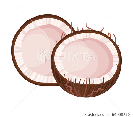 Halved Coconut with Hard Shell and Fibrous Husk Showing White Inner Flesh Vector Illustration Halved Coconut with Hard Shell and Fibrous Husk Showing White Inner Flesh Vector Illustration 64908230