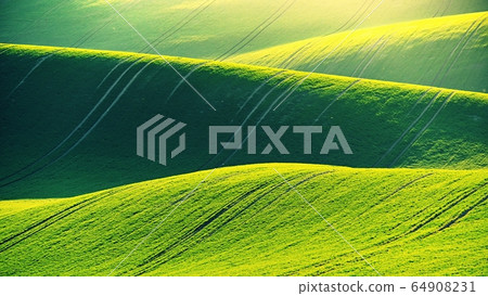 Green spring nature background with setting sun and grass. Waves on the field.  Moravian Tuscany - Czech Republic - Europe. 64908231