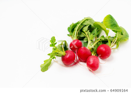 Radish 20 days radish 64909164