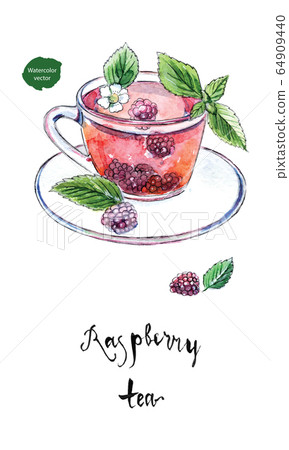 Glass cup of summer raspberry tea with fresh raspberry, flower and leaves in watercolor Glass cup of summer raspberry tea with fresh raspberry, flower and leaves in watercolor 64909440