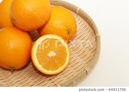 橙 橙 64911706