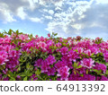 Spring Nature 64913392
