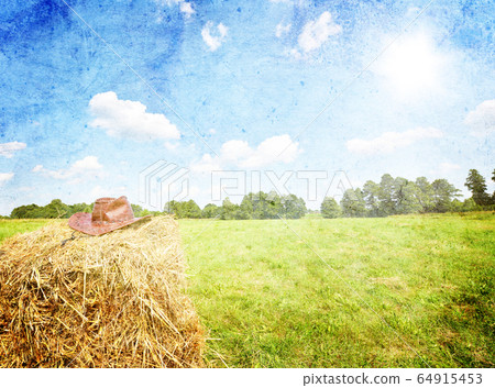 Rural landscape 64915453