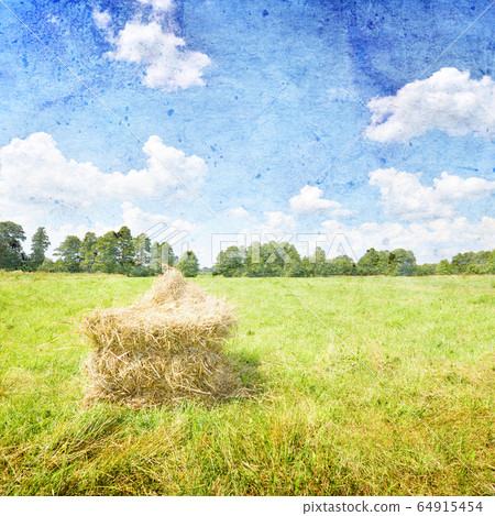 Rural landscape 64915454