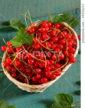 Red currants basket 64916217
