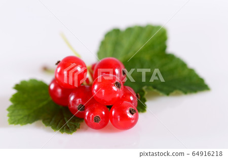 Red currant close up 64916218