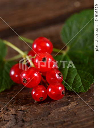 Red currant close up 64916219
