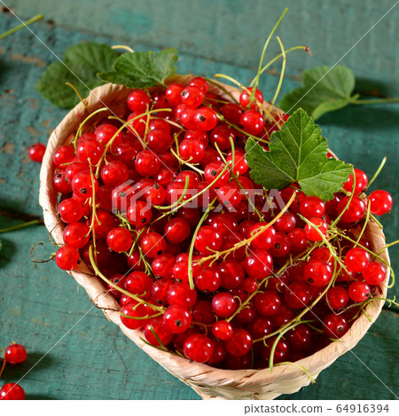 Red currants 64916394
