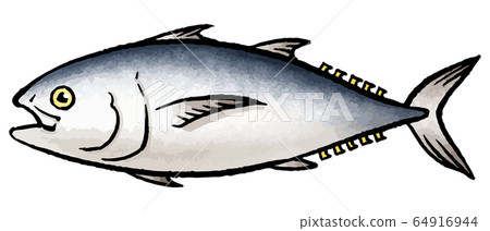 Tuna 64916944