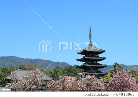 興福寺 興福寺 64916965