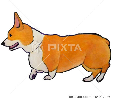 走的小狗 64917086