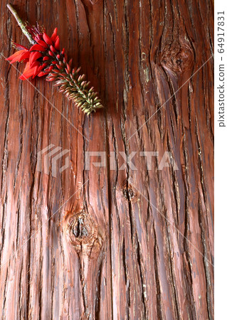 Okinawa flower Deigo flower wood grain Okinawa flower Deigo flower wood grain 64917831