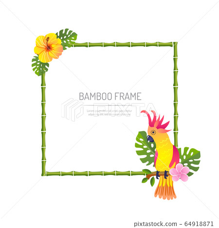 bamboo frame with parrot on white background vector illustration bamboo frame with parrot on white background vector illustration 64918871