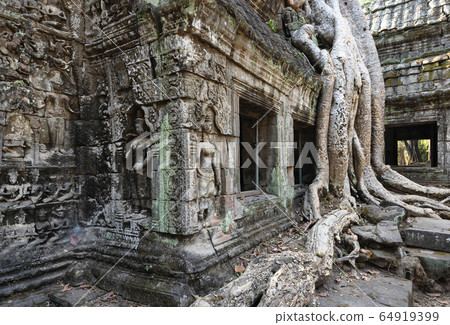 Ta Prohm Temple, Angkor Temple overgrown by massive trees after abandoned for centuries, Siem Reap, Cambodia Ta Prohm Temple, Angkor Temple overgrown by massive trees after abandoned for centuries, Siem Reap, Cambodia 64919399