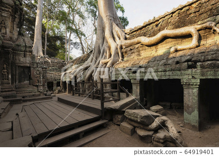 Ta Prohm Temple, Angkor Temple overgrown by massive trees after abandoned for centuries, Siem Reap, Cambodia Ta Prohm Temple, Angkor Temple overgrown by massive trees after abandoned for centuries, Siem Reap, Cambodia 64919401