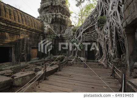 Ta Prohm Temple, Angkor Temple overgrown by massive trees after abandoned for centuries, Siem Reap, Cambodia Ta Prohm Temple, Angkor Temple overgrown by massive trees after abandoned for centuries, Siem Reap, Cambodia 64919403