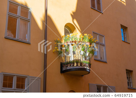 Narcissus in balcony at Stockholm old town (gamla stan). Spring 64919715