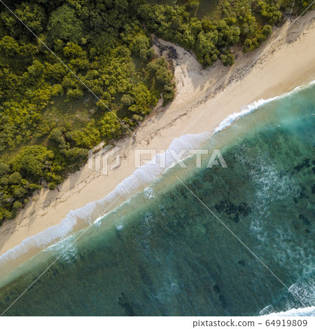 Aerial view of tropical beach, 64919809